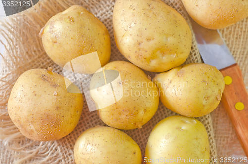 Image of raw potato