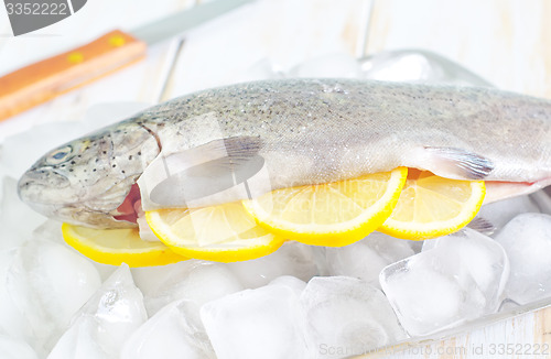 Image of raw trout