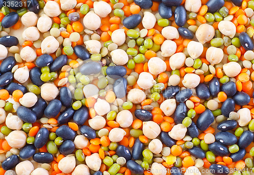 Image of Color beans