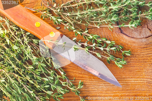 Image of thyme