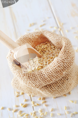 Image of pearl barley