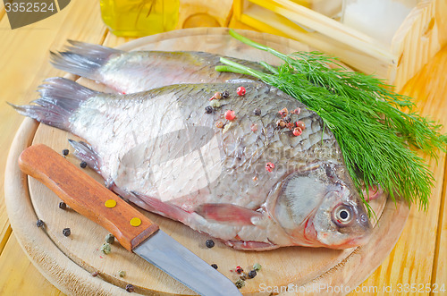 Image of fresh carp