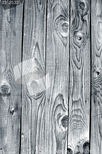 Image of Old wood