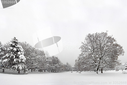 Image of Snow in the park