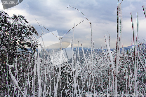 Image of Winter landscape2