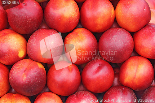 Image of Nectarines