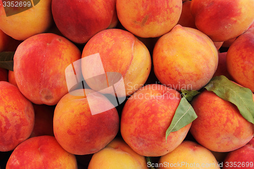 Image of Peaches