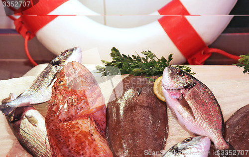 Image of Fish