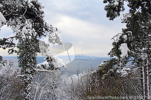 Image of Winter landscape