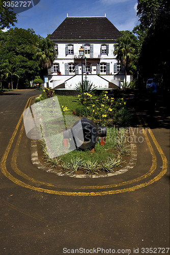 Image of zanzibar mahebourg naval museum flower   bush