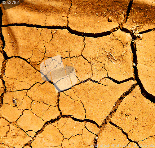 Image of lanzarote spain abstract texture of a broke and lichens 