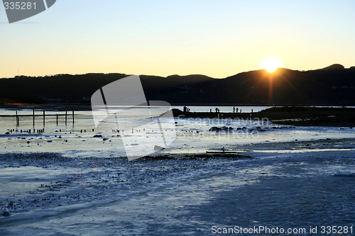 Image of Winter shore