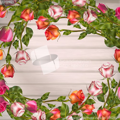 Image of Greeting card with roses. EPS 10