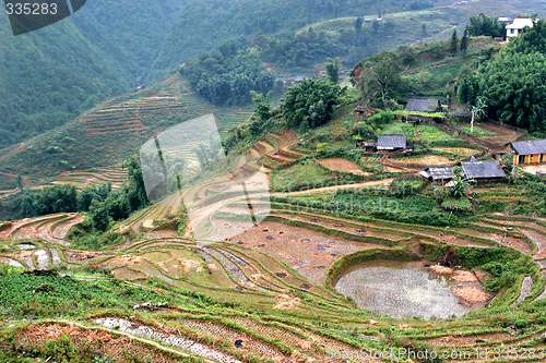 Image of sapa