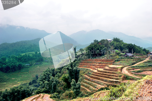 Image of sapa