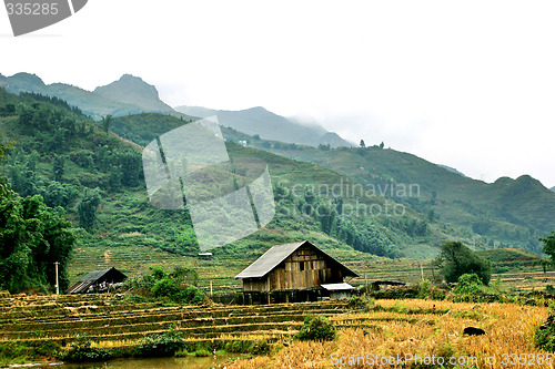 Image of sapa