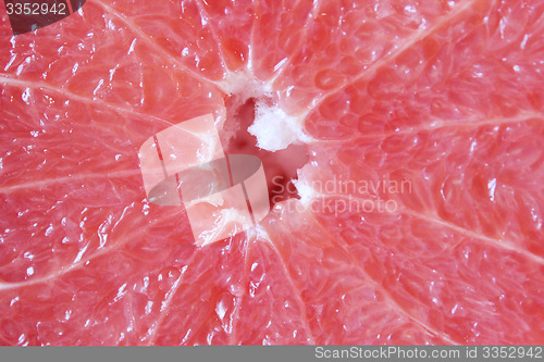 Image of cut fruit of grapefruit on the board