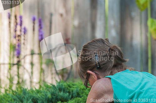 Image of Gardening