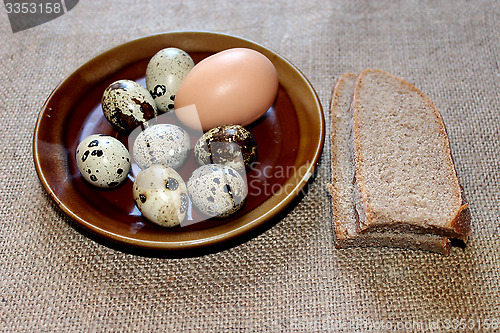 Image of eggs of the quail and hen with pieces of bread