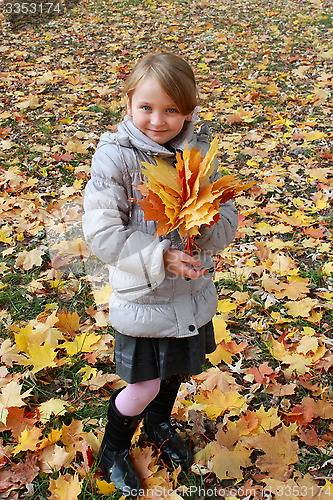 Image of girl with yellow leaves in the park