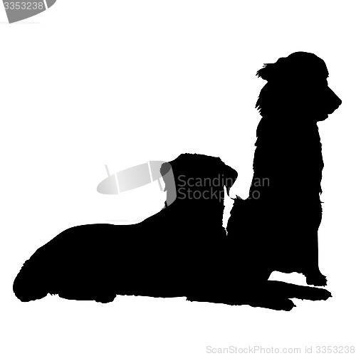 Image of Pair of Dogs