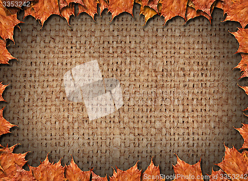 Image of Frame from the yellow leaves on the sacking