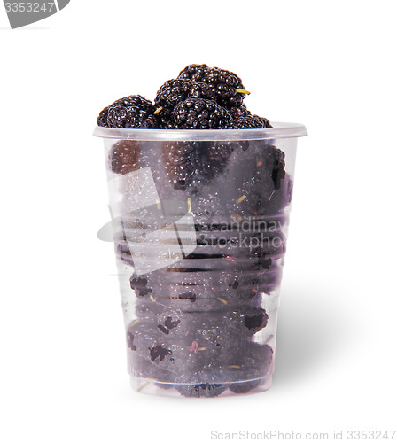 Image of Mulberry in a plastic cup