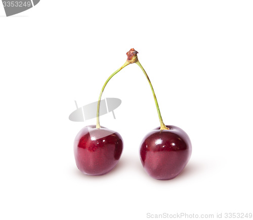 Image of Two burgundy sweet cherries