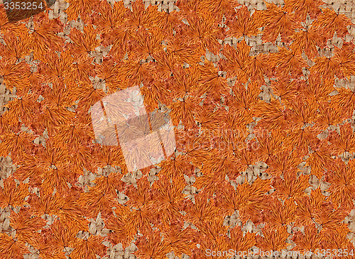 Image of texture from yellow leaves