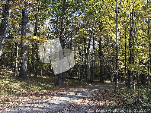 Image of Fall, leaves