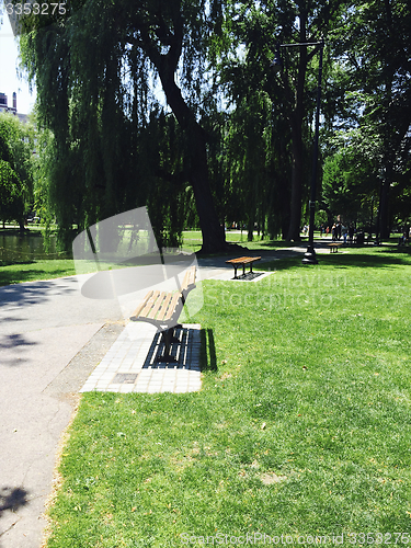 Image of Park bench