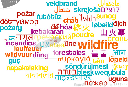Image of Wildfire multilanguage wordcloud background concept