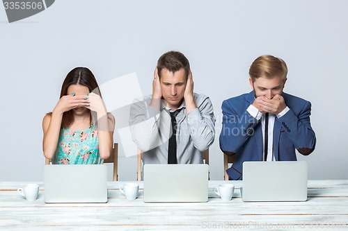 Image of Business team working on their business project together at office