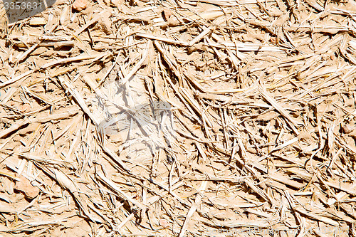 Image of cracked sand in morocco africa desert  hay