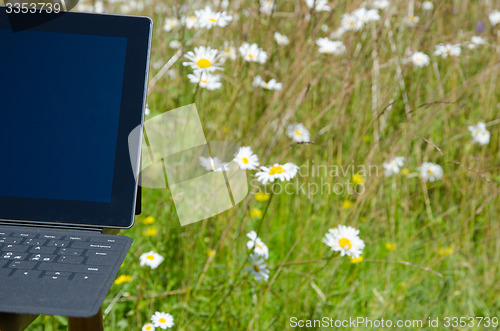 Image of Laptop among daisies