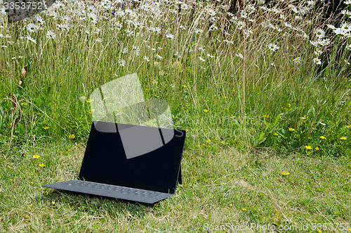 Image of Laptop at a lawn with daisies