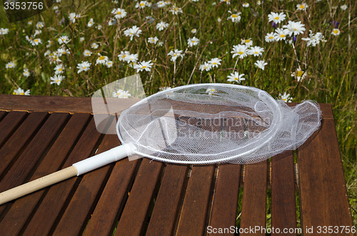 Image of Butterfly net in a garden