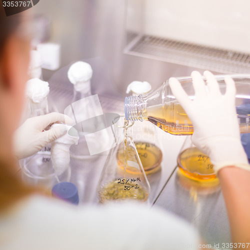 Image of Young scientist pipetting solution.