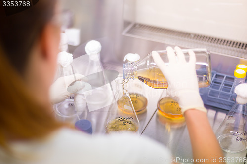 Image of Young scientist pipetting solution.