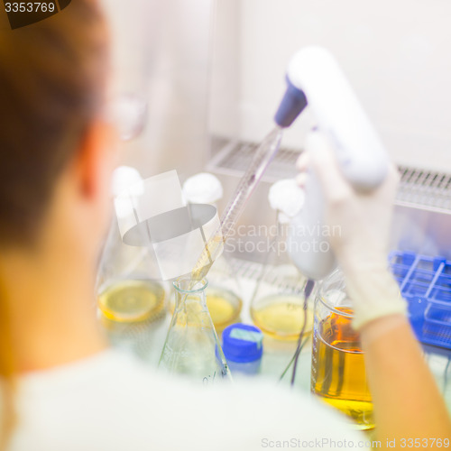 Image of Young scientist pipetting solution.