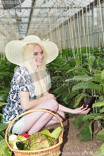 Image of Stylish Young Woman Harvesting Veggies in the Farm