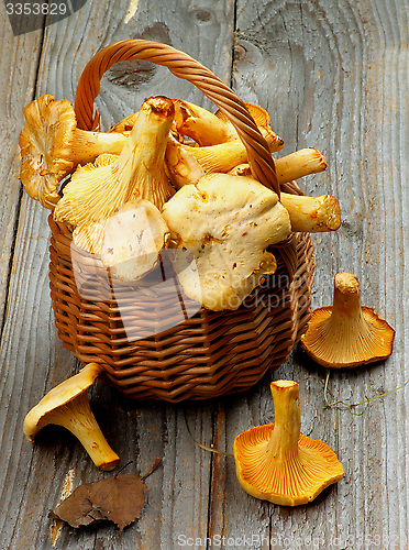 Image of Raw Chanterelles