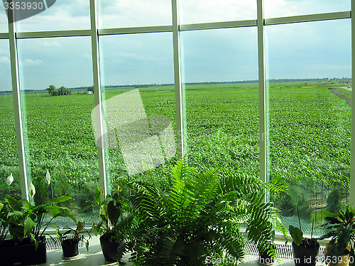 Image of window of the office and field