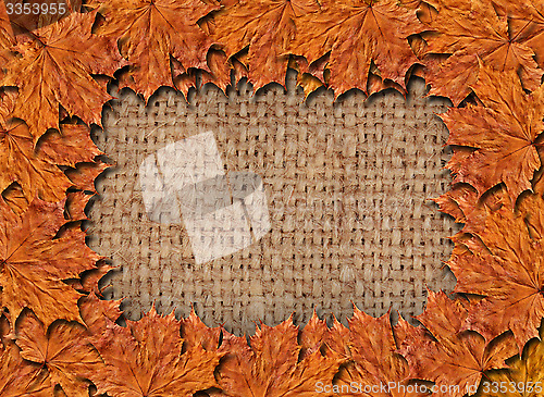 Image of Frame from the yellow leaves on the sacking