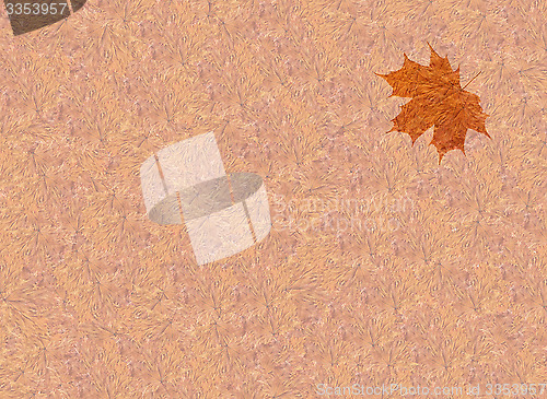 Image of texture from yellow leaves