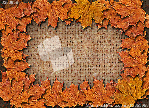 Image of Frame from the yellow leaves on the sacking