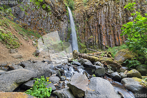 Image of Dry Creek Falls in Columbia River Gorge