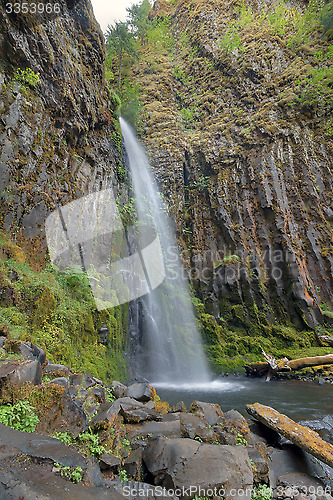 Image of Dry Creek Falls in Columbia River Gorge Vertical