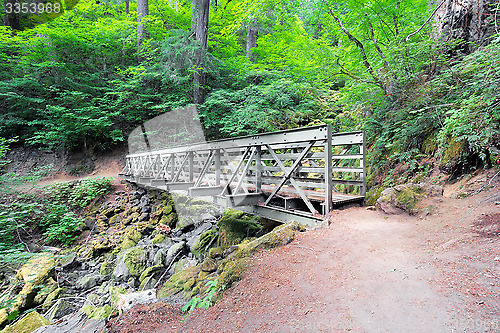 Image of Pedestrian Bridge at Hiking Trail