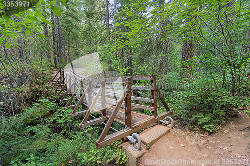 Image of Suspension Bridge Over Falls Creek